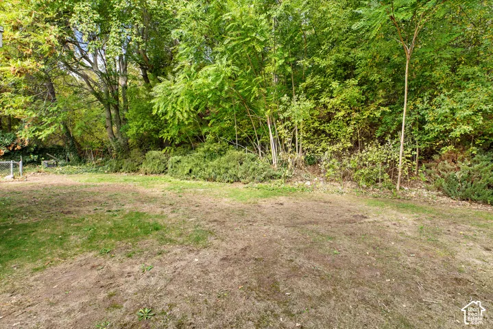 Backyard featuring an open lawn area, mature trees, and dense foliage borders