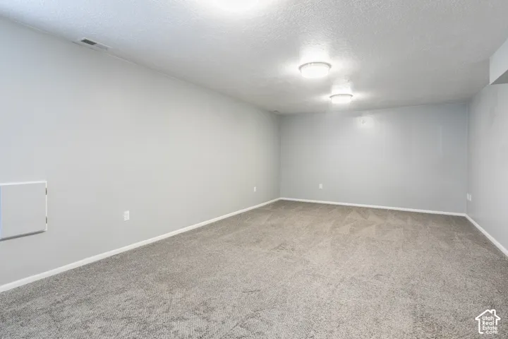 Large lower-level family room with plenty of space to spread out.