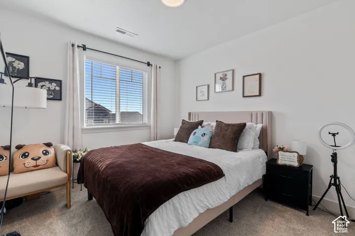 Neutral interior featuring high-pile wall-to-wall carpeting, crisp white walls, and a large single-pane window with a black curtain rod