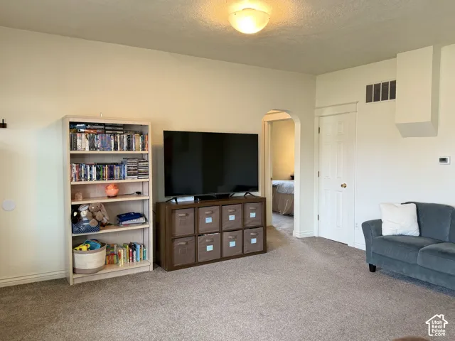 Neutral wall paint, arched doorway, six-panel interior door, and flush-mount ceiling lighting