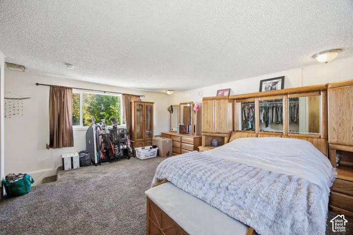 Spacious room featuring carpeting, a large window, and flush-mount ceiling lighting
