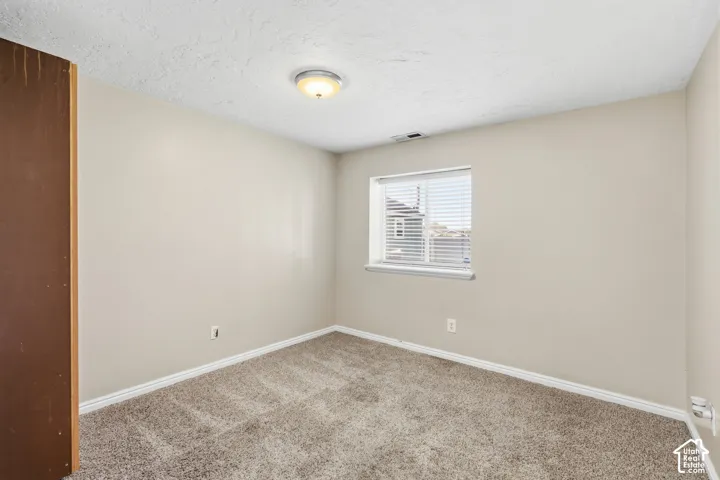 Neutral-toned interior space featuring carpeted flooring, a single-window configuration with horizontal blinds, a flush-mount ceiling light fixture, and a built-in closet