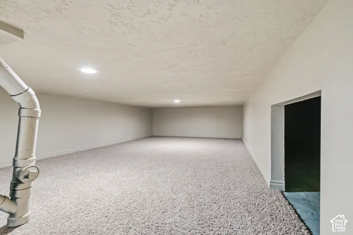 Finished storage area featuring wall-to-wall carpeting, neutral-toned paint, and recessed lighting