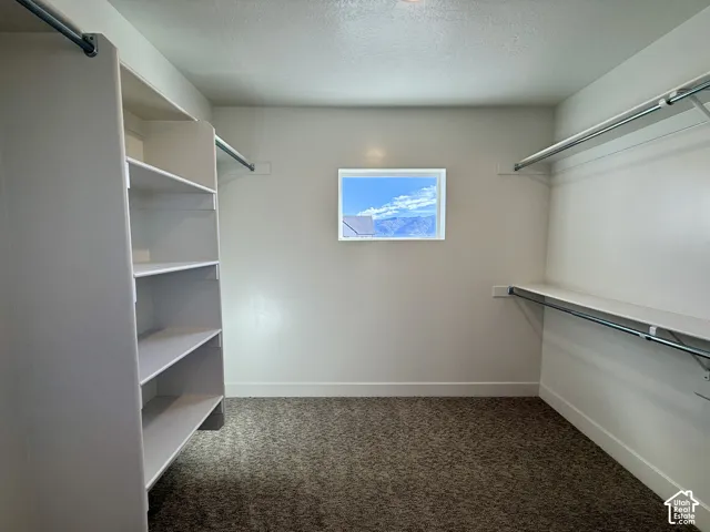 Walk-in closet featuring white built-in shelving, dual-level metal hanging rods, patterned wall-to-wall carpeting, and a central window with mountain scenery