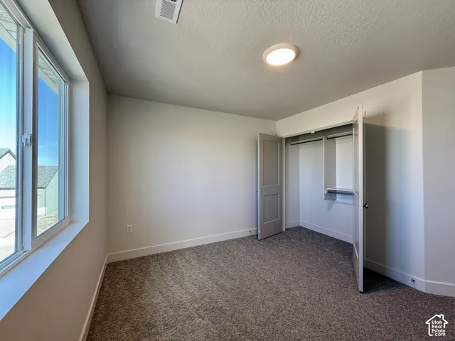 Neutral-toned interior space featuring wall-to-wall carpeting, a multi-pane window, a built-in closet with double doors, and a flush-mount ceiling light fixture