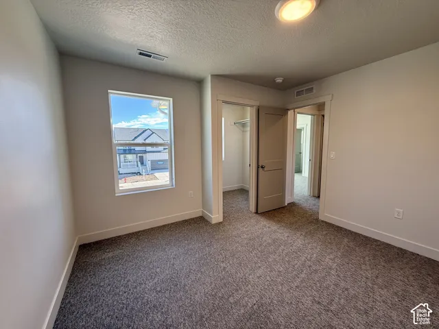 Neutral-toned carpeting, window with natural lighting, interior door with a lever-style handle, and a walk-in closet with built-in shelving