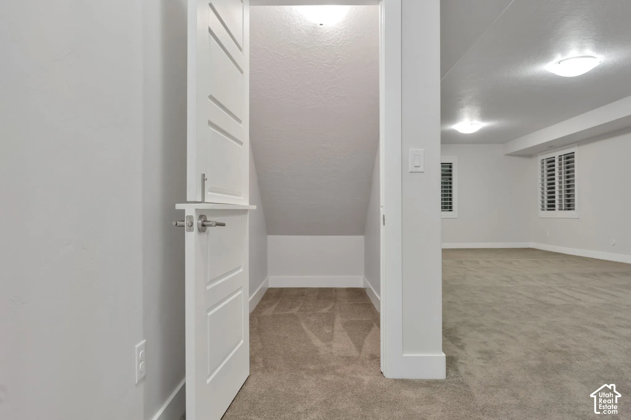 Under-stair storage or childrends play-house featuring a white paneled door, neutral wall-to-wall carpeting, and recessed ceiling lighting