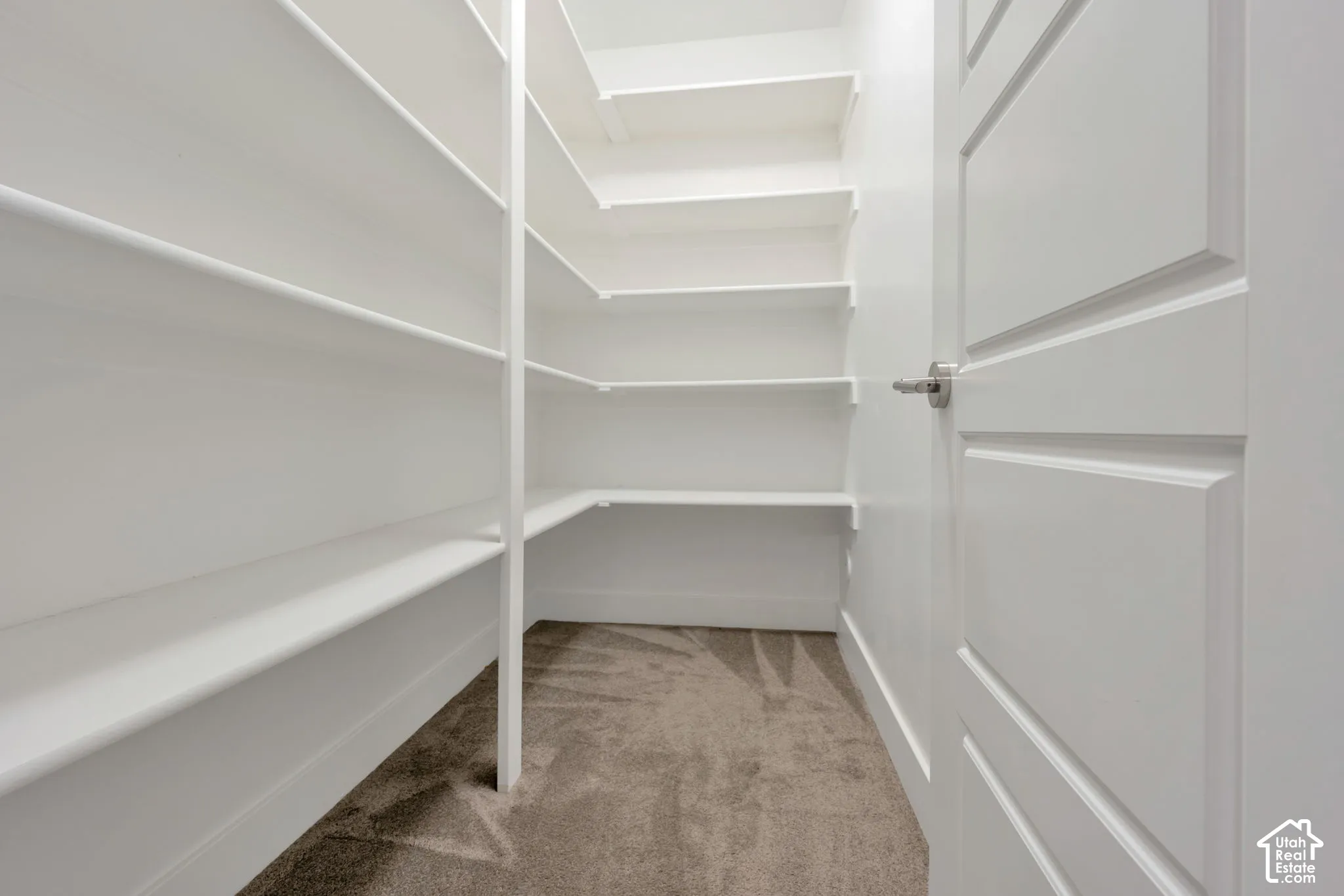 Storage space featuring multi-level wrap-around shelving, neutral carpeting, and a solid-core panel door with brushed metal hardware
