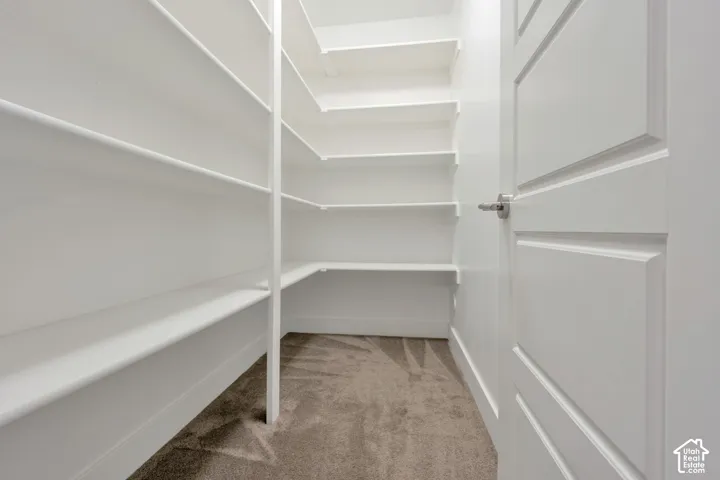 Storage space featuring multi-level wrap-around shelving, neutral carpeting, and a solid-core panel door with brushed metal hardware
