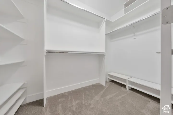 Walk-in closet featuring floor-to-ceiling white built-in shelving, integrated hanging rods, low-profile storage benches, and neutral carpeting