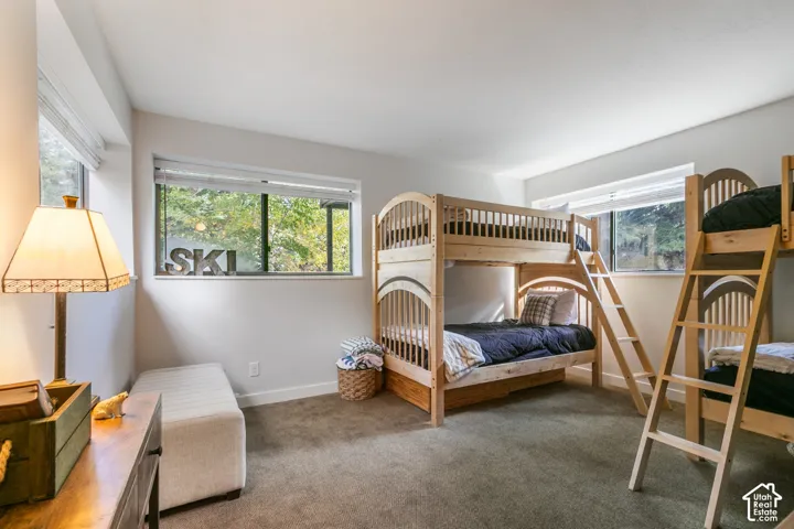 Windowed room with light-toned walls, carpeted flooring, and multiple windows