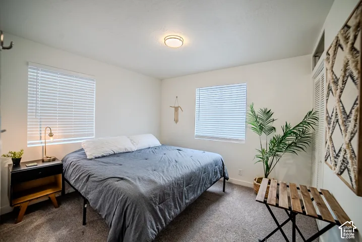 Neutral-toned room featuring dual windows with horizontal blinds, neutral wall-to-wall carpeting, a flush-mount ceiling light fixture, and floor-to-ceiling closet doors