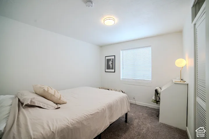 Neutral-toned wall-to-wall carpeting, window with integrated horizontal blinds, ceiling-mounted flush-mount light fixture, and floor-to-ceiling closet featuring white louvered doors