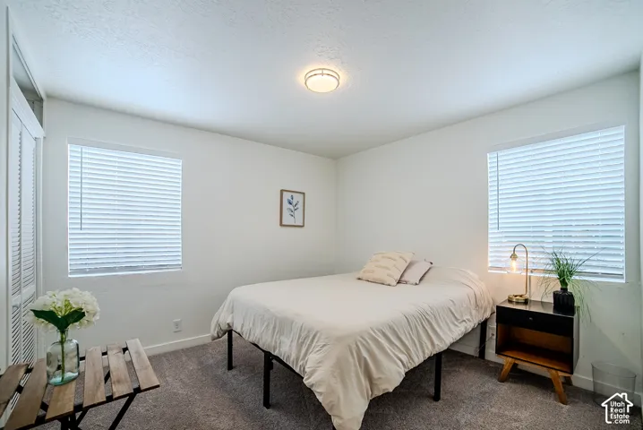 Neutral wall palette with dual windows, louvered-door closet, flush-mount ceiling lighting, and wall-to-wall carpeting