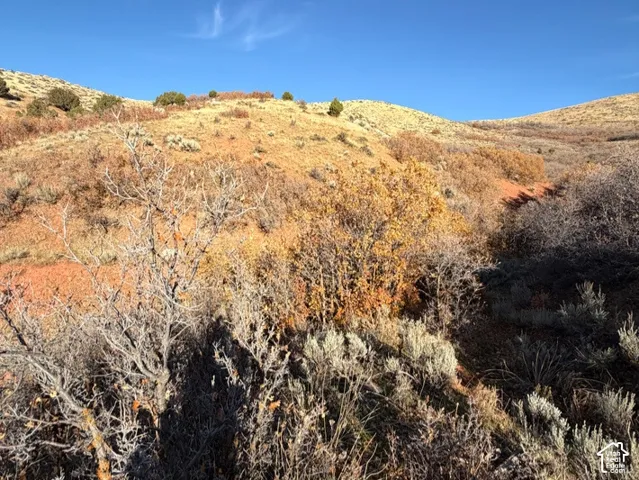 Natural landscape featuring rugged, rolling terrain with native shrubbery and arid soil composition