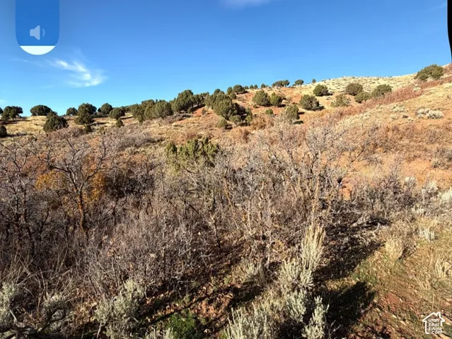 Expansive lot featuring rugged desert terrain, native scrub brush, mature juniper trees, and natural sloping topography