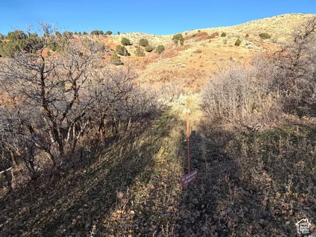 Expansive hillside topography featuring native vegetation, deciduous trees, and varied terrain