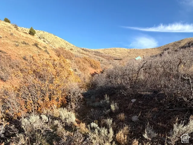 Rugged hillside landscape featuring native shrubs, natural rock formations, and mountain topography