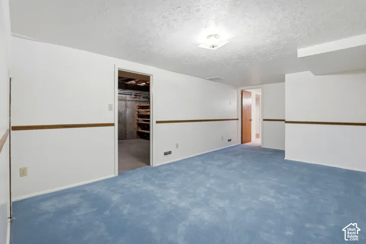 Finished room featuring wall-to-wall carpeting, textured ceiling, decorative chair rail molding, and a flush-mount light fixture