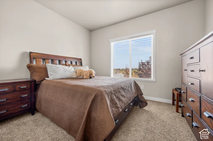 Neutral wall color, wall-to-wall carpeting, and a single-pane window with horizontal blinds