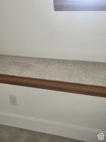 Built-in ledge featuring carpeted surfacing and wood-trim accenting
