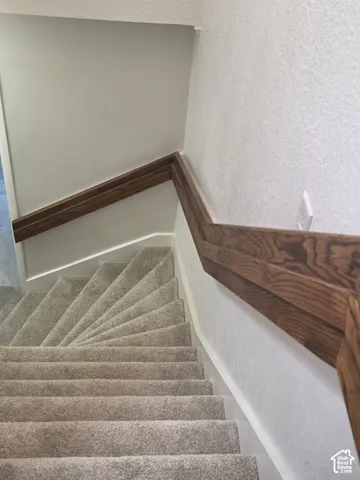 Staircase featuring wall-mounted dark wood-finish handrails and wall-to-wall carpeting