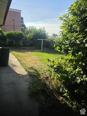Backyard space featuring a concrete patio, lawn area, and mature perimeter landscaping