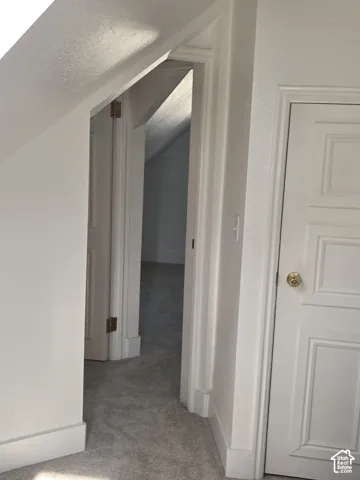 Interior space featuring angled ceilings, neutral carpeting, and multi-panel solid-core doors with brass-finish hardware