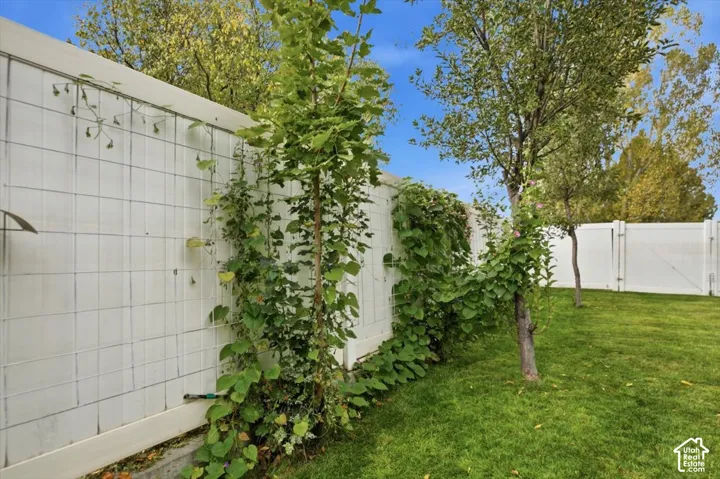 White vinyl fencing with integrated metal lattice climbing supports, mature trees, and established lawn