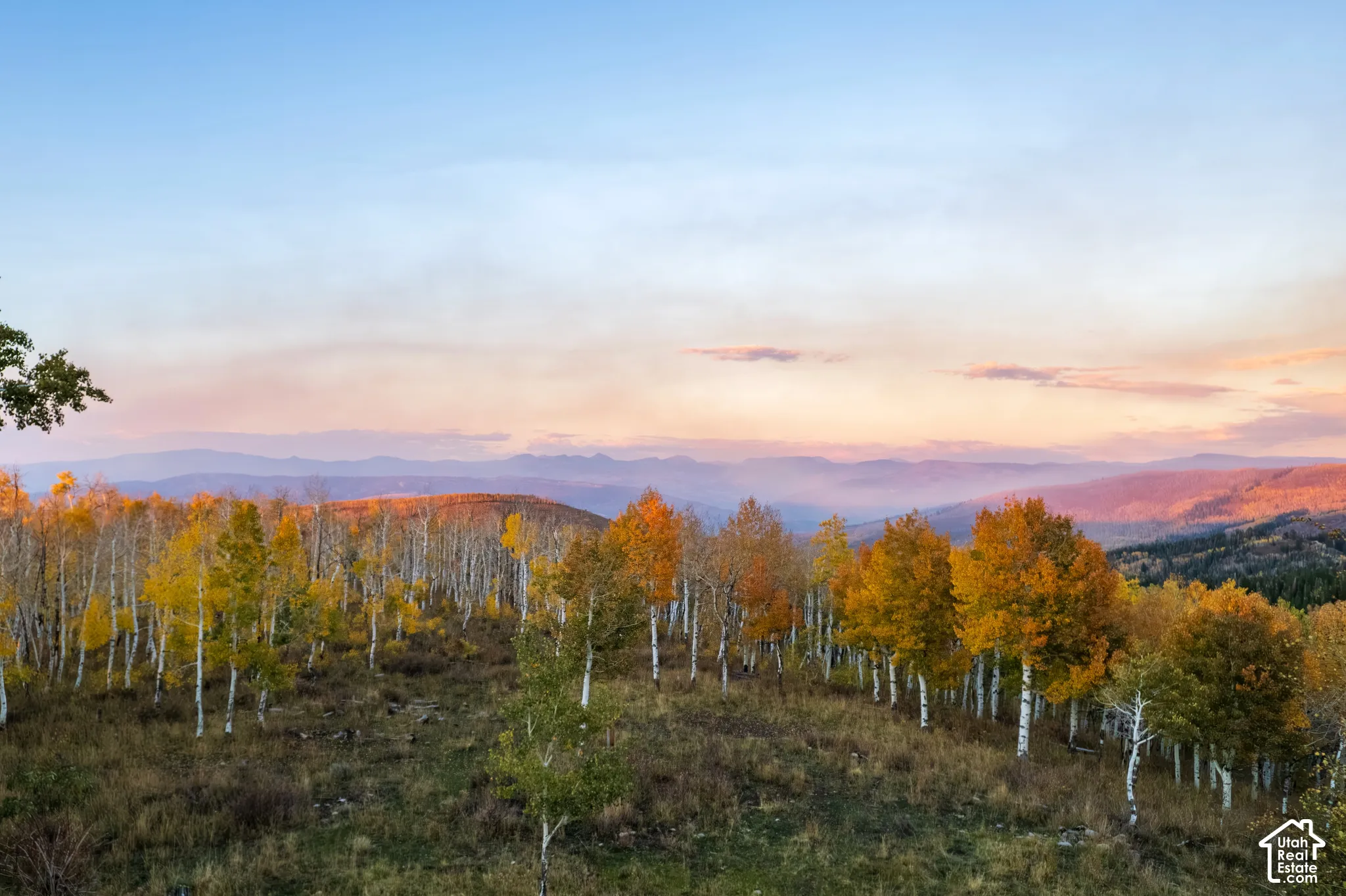 Expansive mountain topography featuring mature aspen groves, varied autumnal foliage, and distant peaks