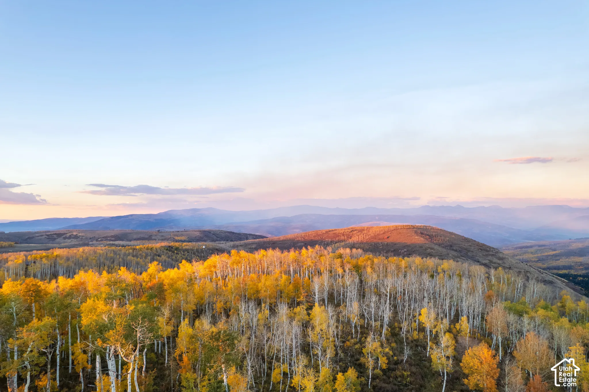 Expansive landscape featuring golden-hued deciduous trees and a prominent mountain range backdrop