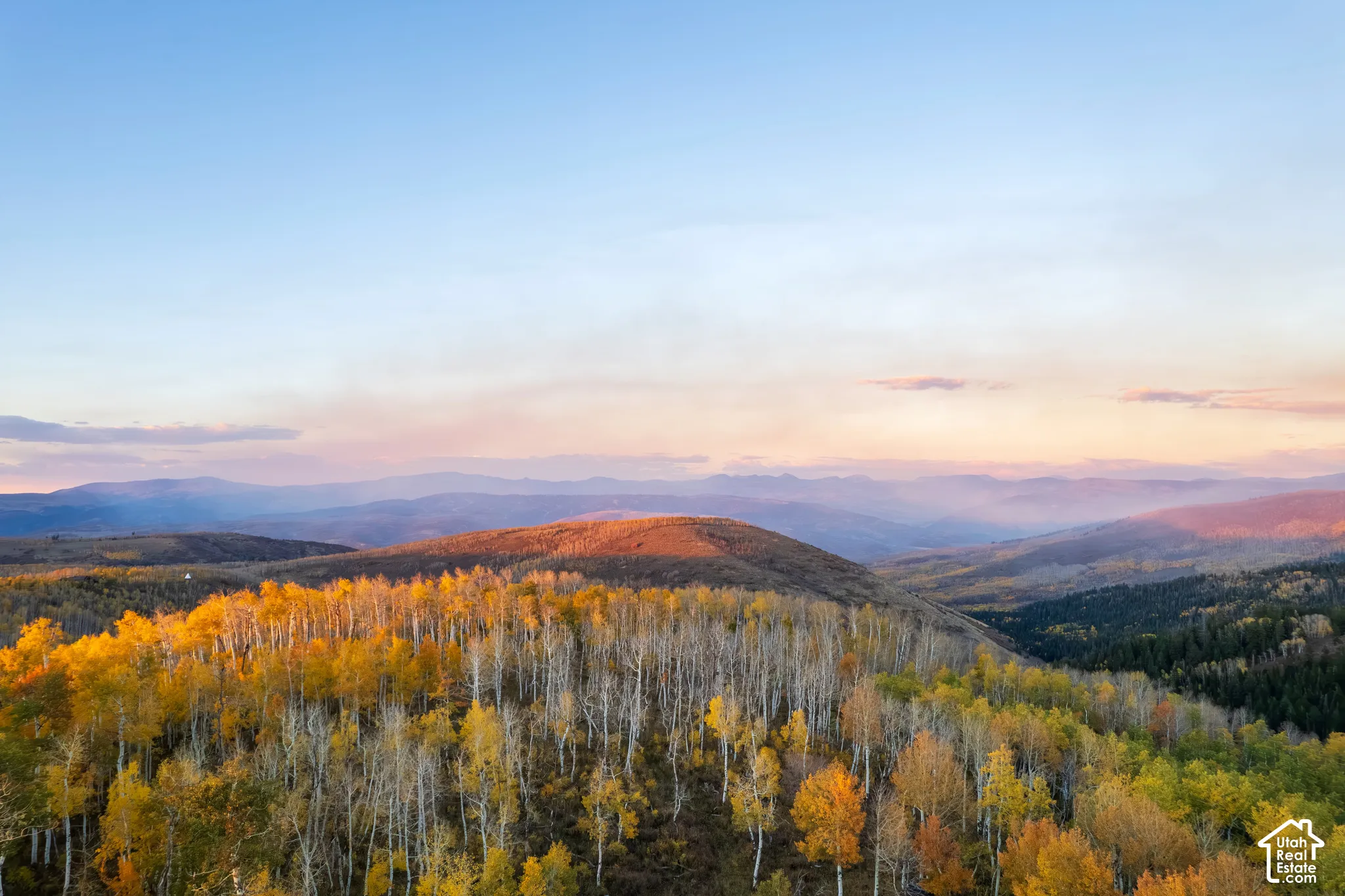 Expansive landscape featuring mature aspen groves, rolling topography, and distant mountain ranges