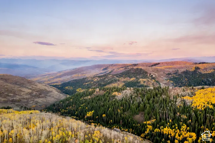 Aerial perspective showcasing expansive mountain terrain with dense evergreen forests and clusters of deciduous trees