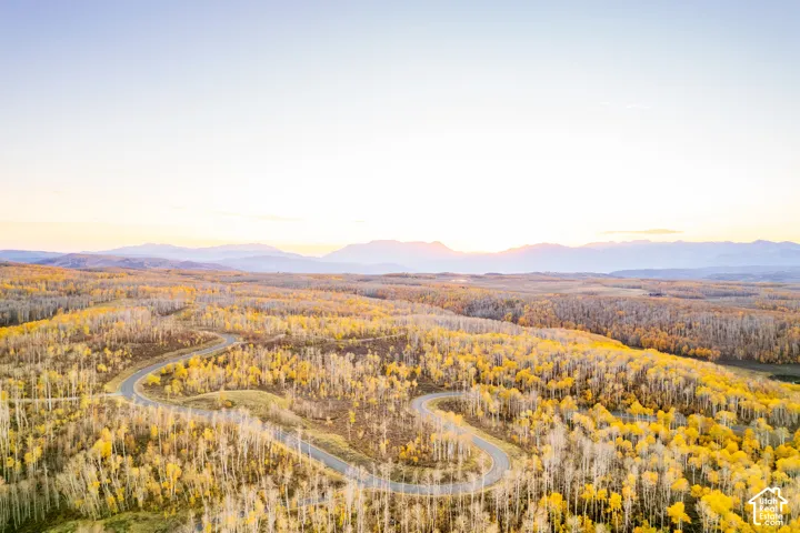 Aerial perspective of a vast, wooded landscape featuring dense, autumn-foliage trees, a paved winding road, and a distant mountain range backdrop