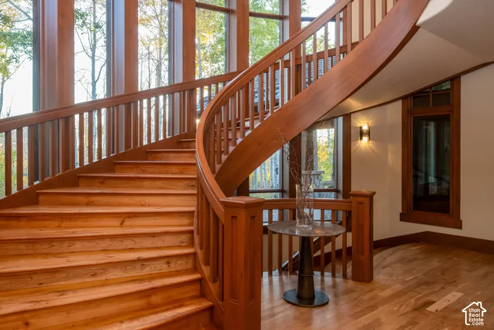 Curved staircase featuring wood-finish treads and custom railings, expansive floor-to-ceiling windows, and wood-finish flooring throughout