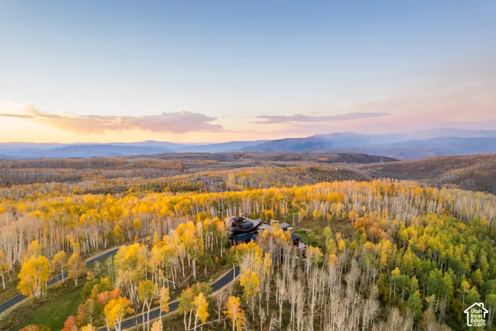 Aerial perspective featuring a multi-level structure nestled within a dense forest, surrounded by mature deciduous trees and a private paved driveway, set against a backdrop of mountain ranges