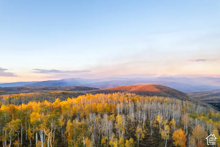 Expansive landscape featuring golden-hued deciduous trees and a prominent mountain range backdrop
