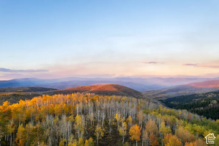 Expansive landscape featuring mature aspen groves, rolling topography, and distant mountain ranges