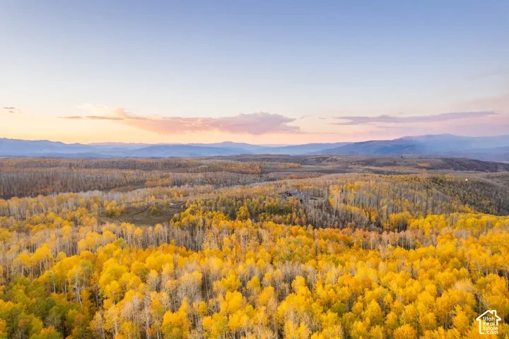 Expansive landscape featuring mature deciduous forest, rolling terrain, and distant mountain horizons under a sunset sky