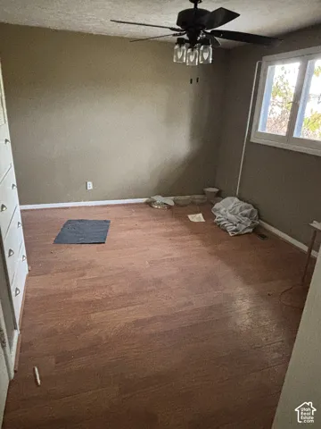 Wood-finish flooring, ceiling fan with three integrated glass-shade lights, and multi-pane window