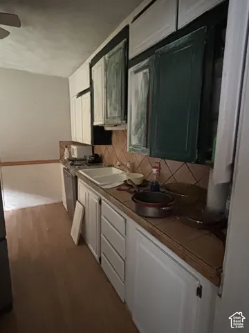 Kitchen area featuring wood-finish flooring, white cabinetry, a dual-basin sink, and tiled backsplash