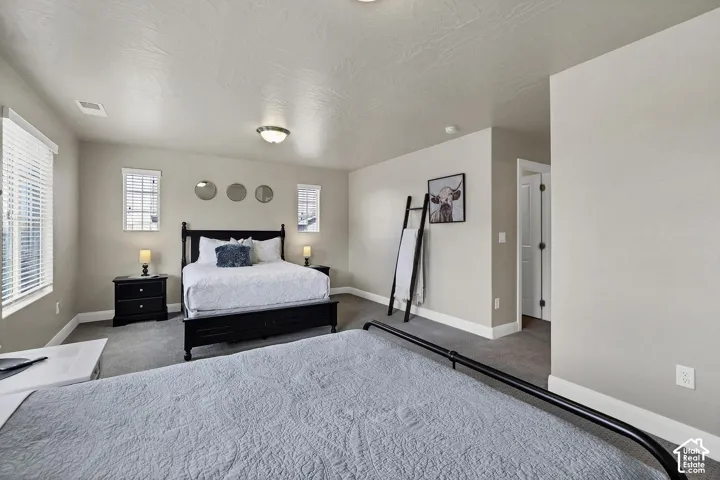 Neutral-toned interior featuring high ceilings, carpeted flooring, and multi-pane windows with fitted blinds