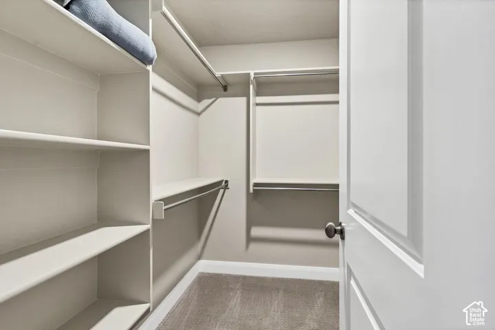 Walk-in storage space featuring built-in shelving units, dual-level metal hanging rods, neutral carpeting, and a solid-core panel door