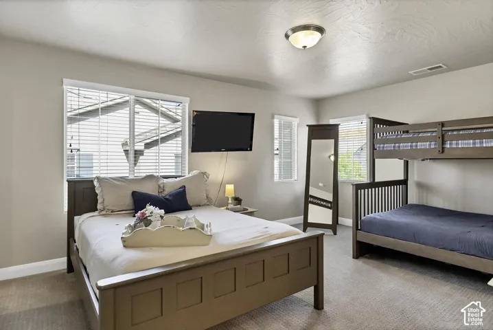 Neutral-toned room with carpeting, textured ceiling, two windows featuring horizontal blinds, and a flush-mount light fixture