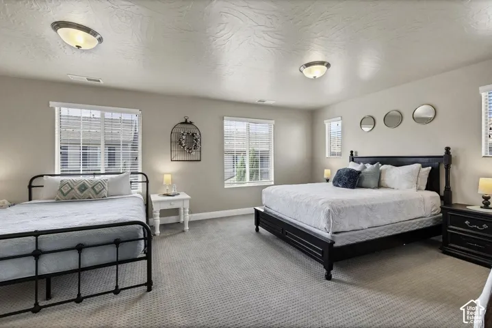 Neutral wall color, textured ceiling, carpeted flooring, multiple windows with horizontal blinds, and dual flush-mount ceiling light fixtures