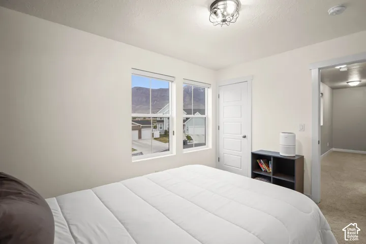 Room featuring dual windows with mountain backdrop, flush-mount industrial-style lighting, and a five-panel interior door