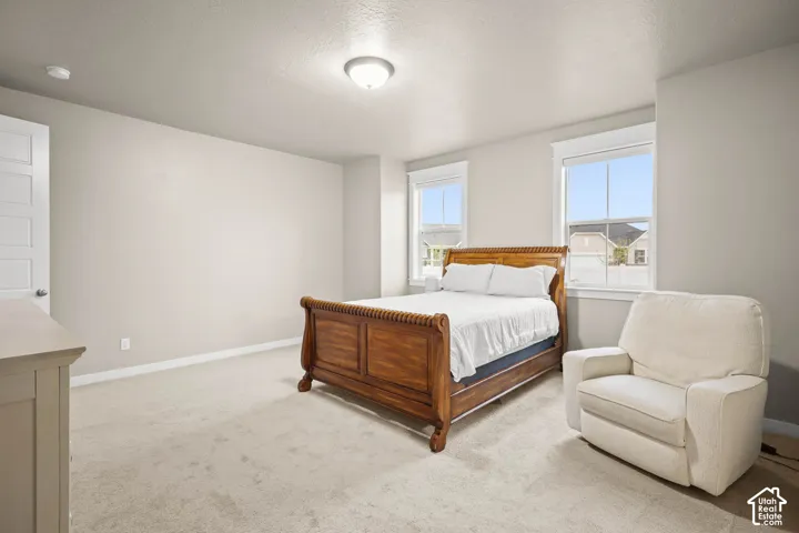 Neutral wall tones, carpeted flooring, two double-hung windows, and a flush-mount ceiling light