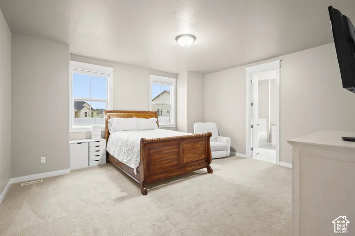 Neutral-toned interior featuring plush carpeting, dual double-pane windows, and a ceiling-mounted light fixture