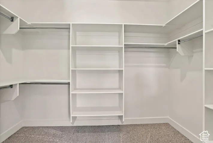 Walk-in closet featuring white built-in shelving, multi-level clothing rods, and wall-to-wall carpeting
