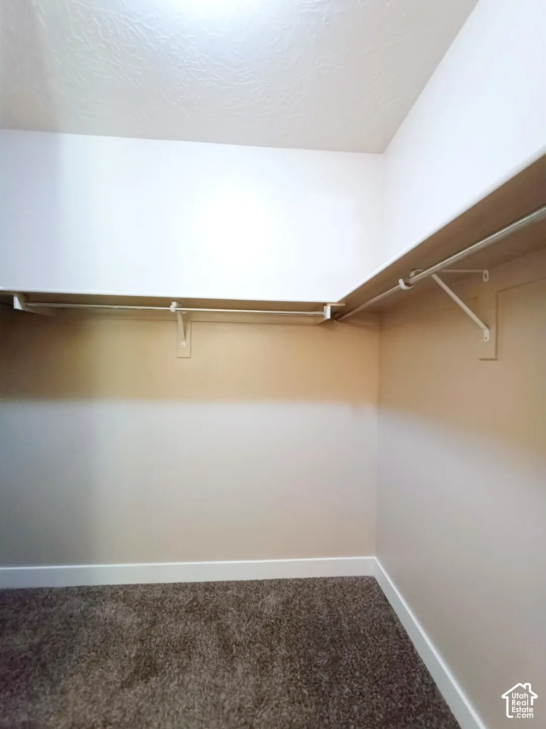 Walk-in closet featuring full-length built-in shelving, integrated metal clothing rods, and wall-to-wall carpeting